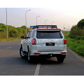 4Runner LED Taillights LED Taillights tail lamp for 2010-2022 4Runner Supplier